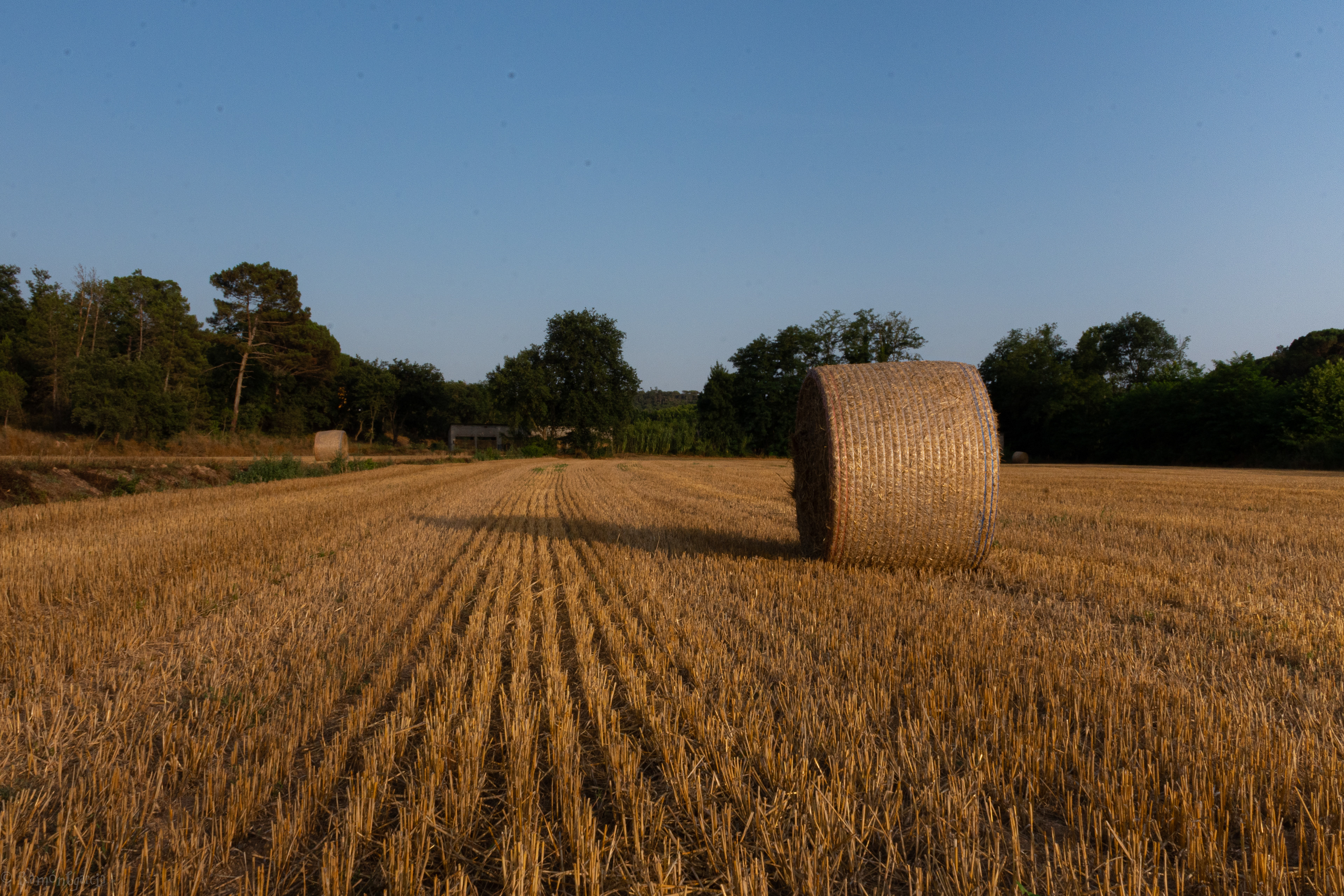 Sembrados en Riudarenes