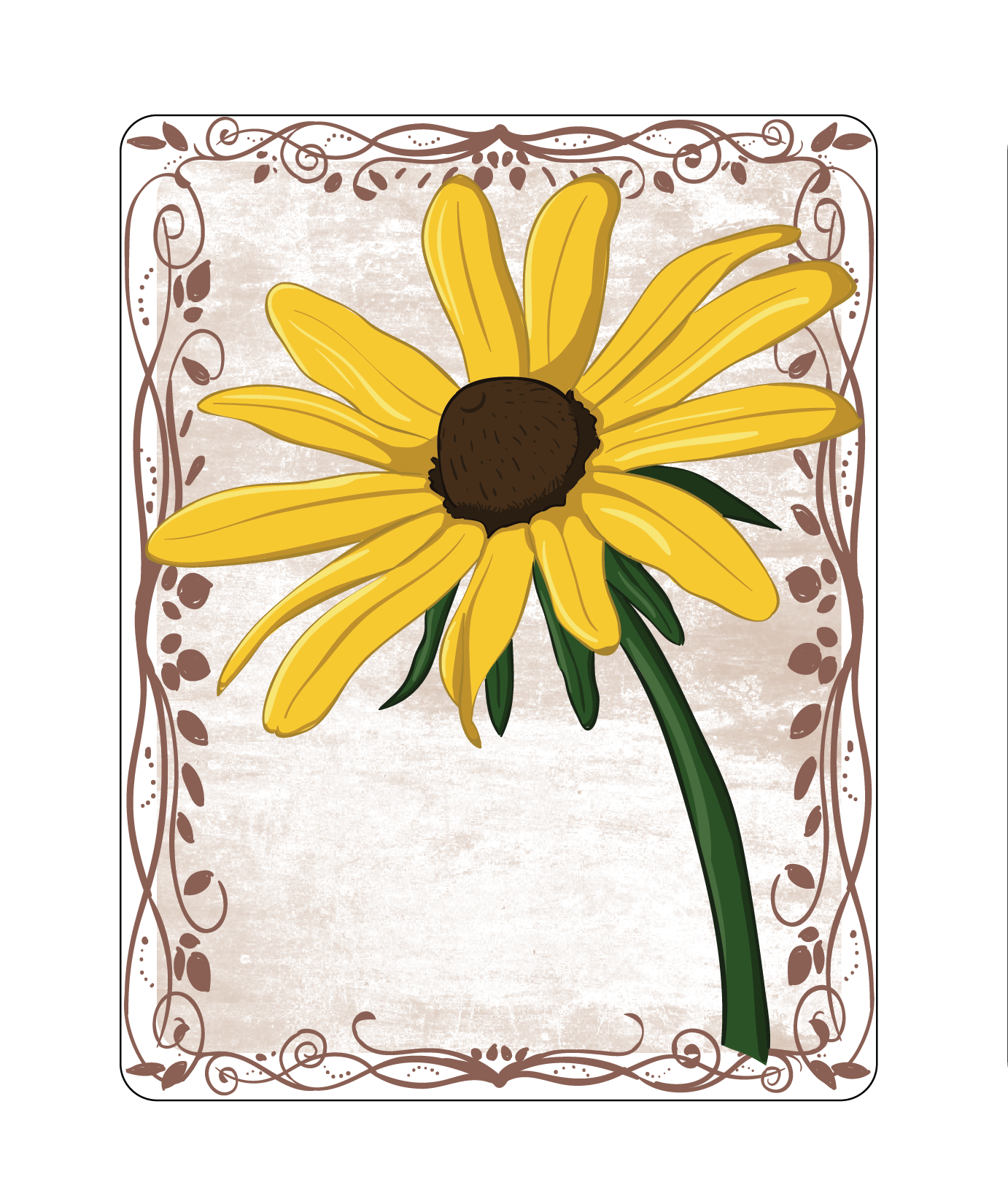 Black-Eyed Susan