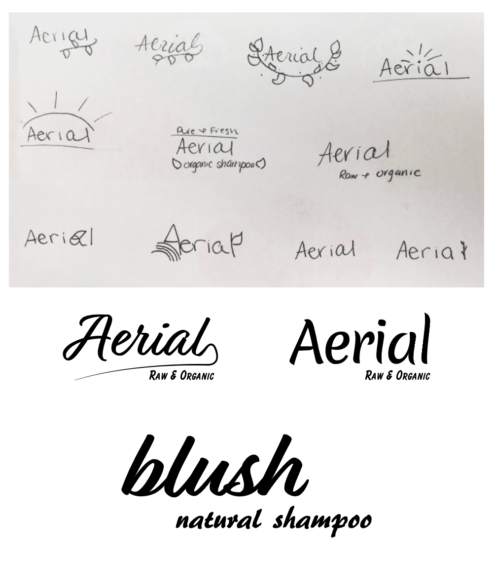 Logo and Brand Name Progression