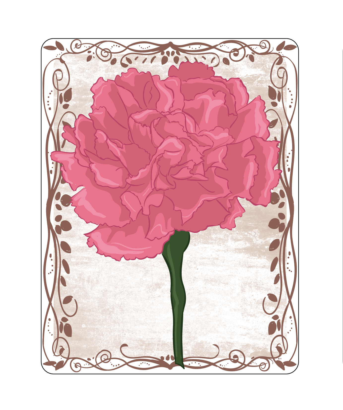 Carnation