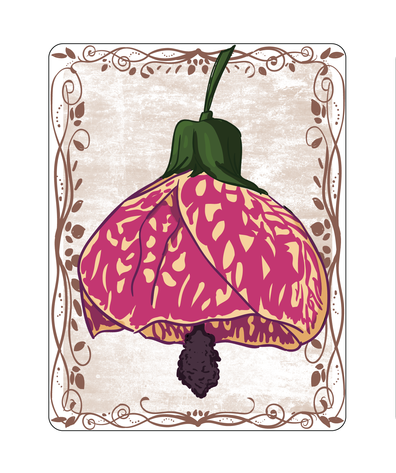Flowering Maple