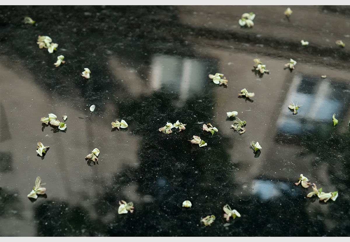 krystina stimakovits, photography, art photographer, urban, abstraction, krystinastima, london, stima-images, myportfolio, Tales without Borders, without borders, walls, fences, crisis, barriers, struggle, despair, hope, refugees, travel, escape, fleeing, disasters, homeless, roads