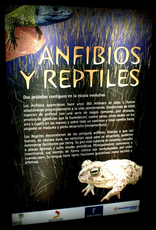 Cartel Panel retroiluminado Afibios y Reptiles