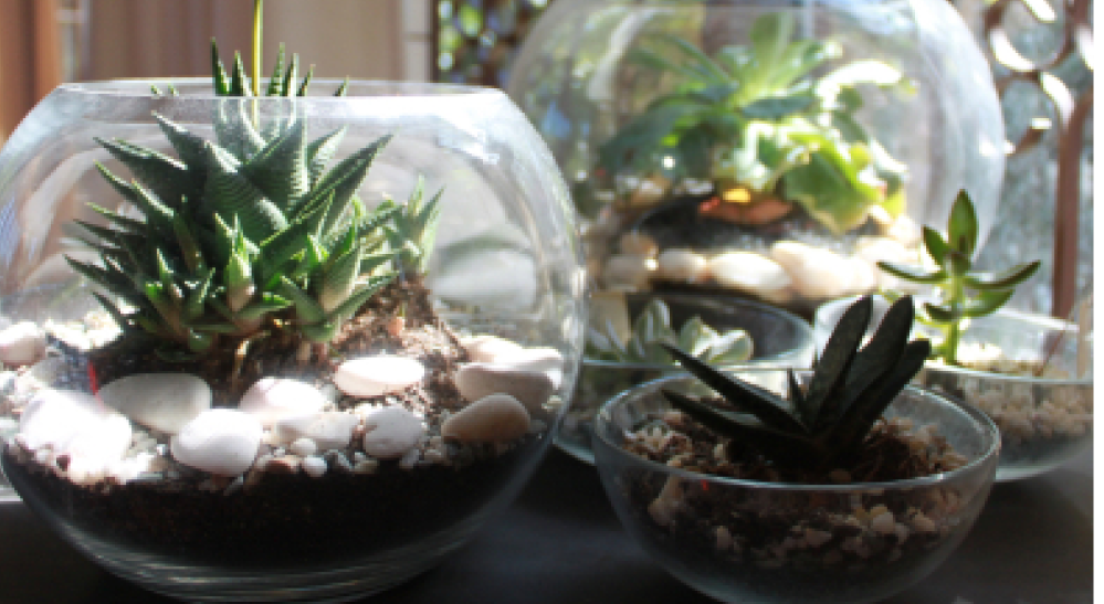 Green babies