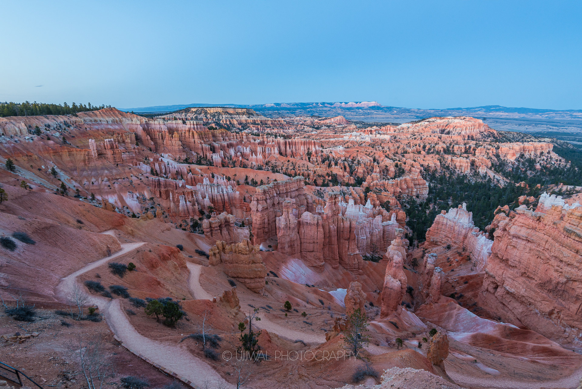 Crimson colored Hoodoos, Bryce Canyon National Park, Utah, USA