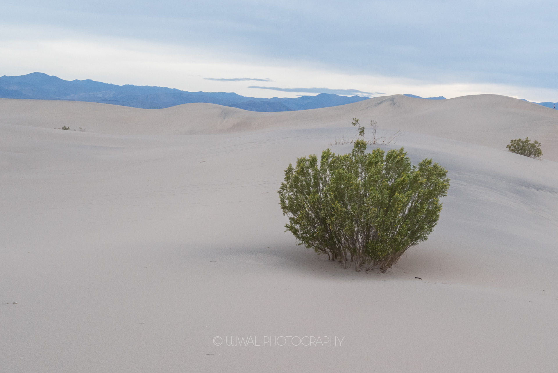 Mesquite Sand Dunes at Death Valley National Park, California, USA