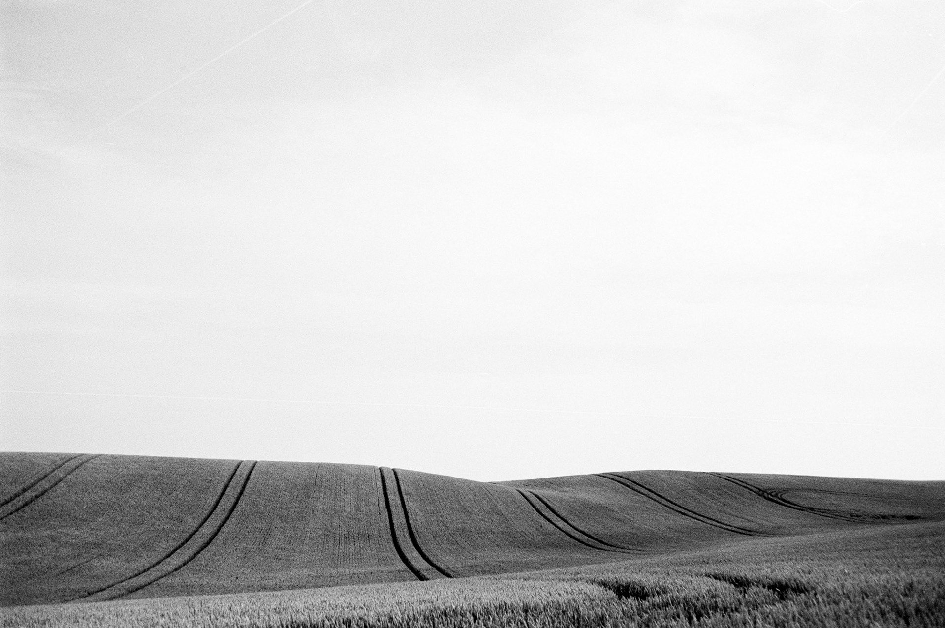 field by Kaare Lytsen