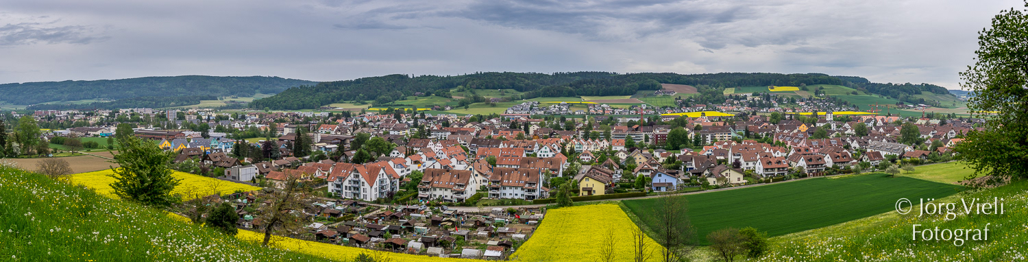 DSC 3750 Panorama