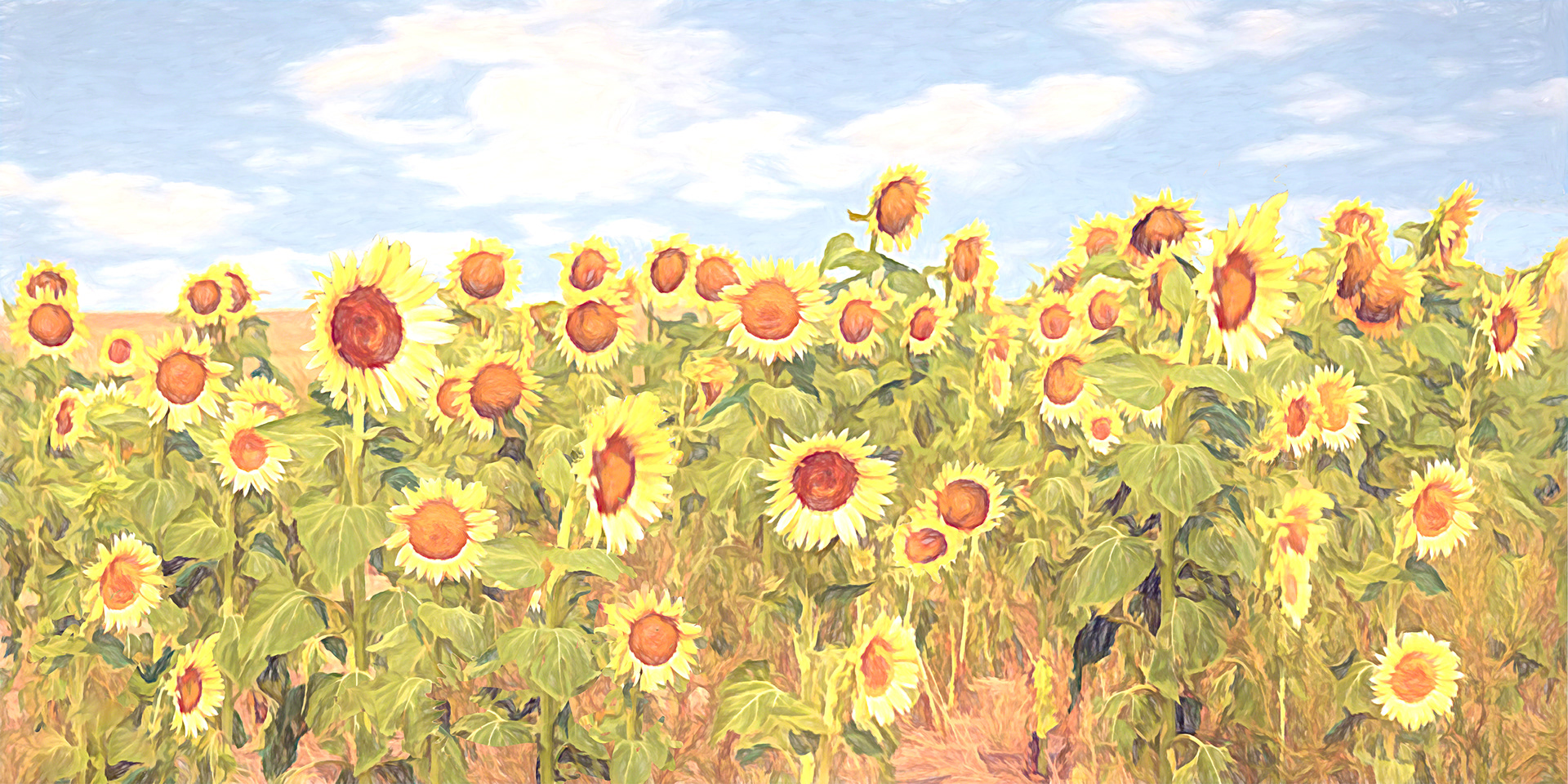 Sun Flowers painted