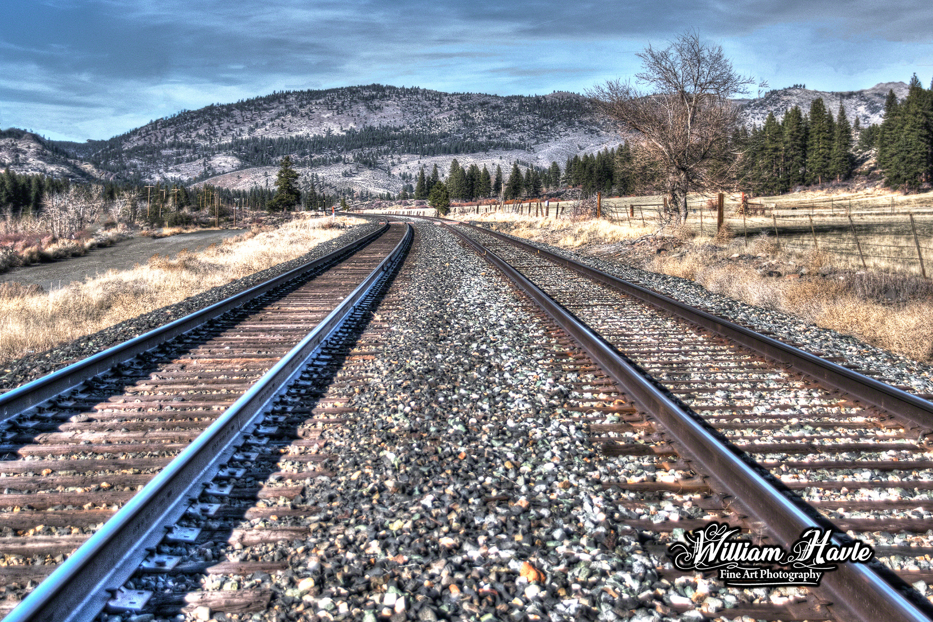 Dueling Tracks