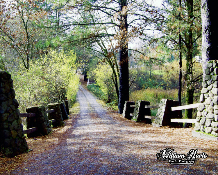 Fallen Path Way