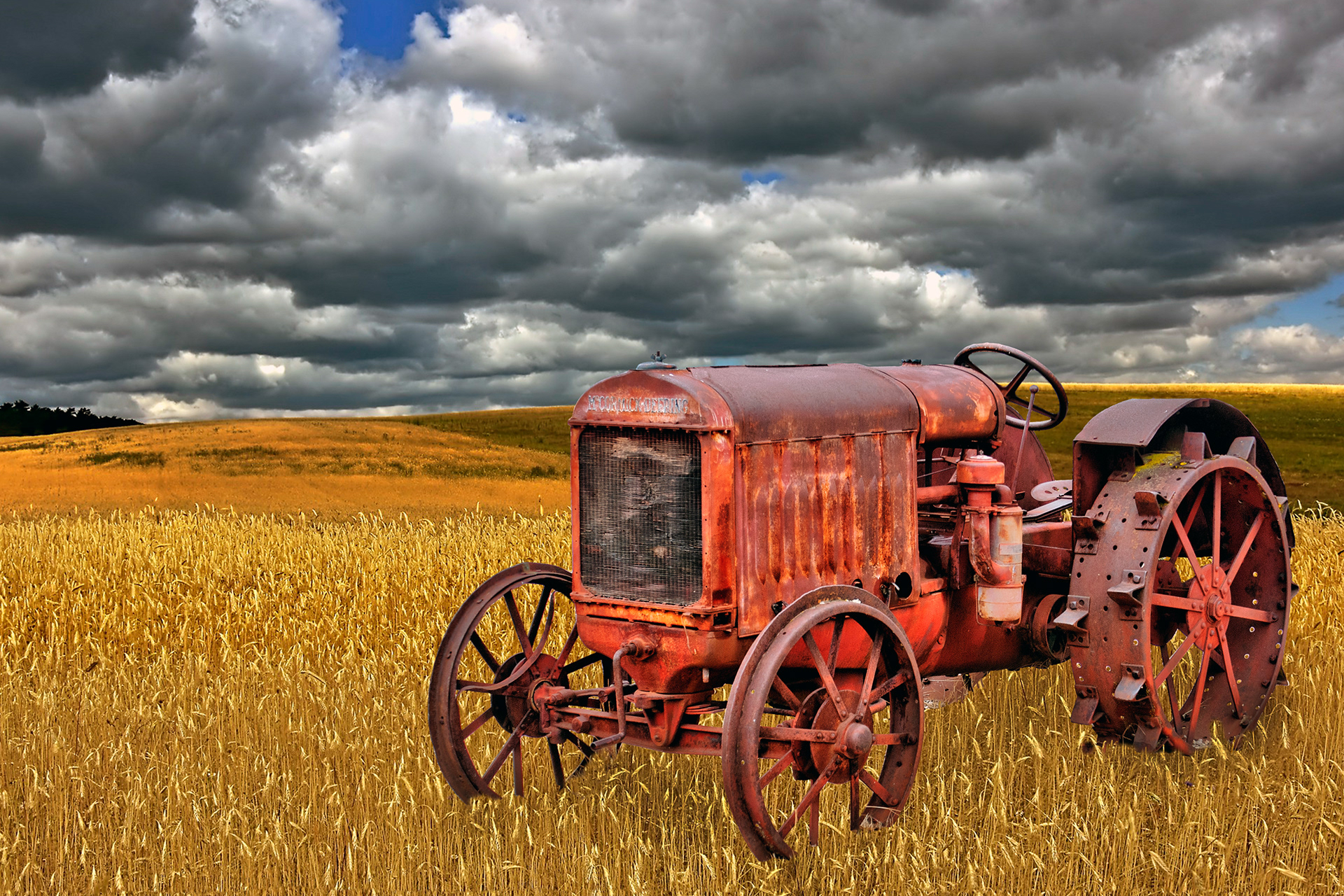 Wheat Field McCormick Deering