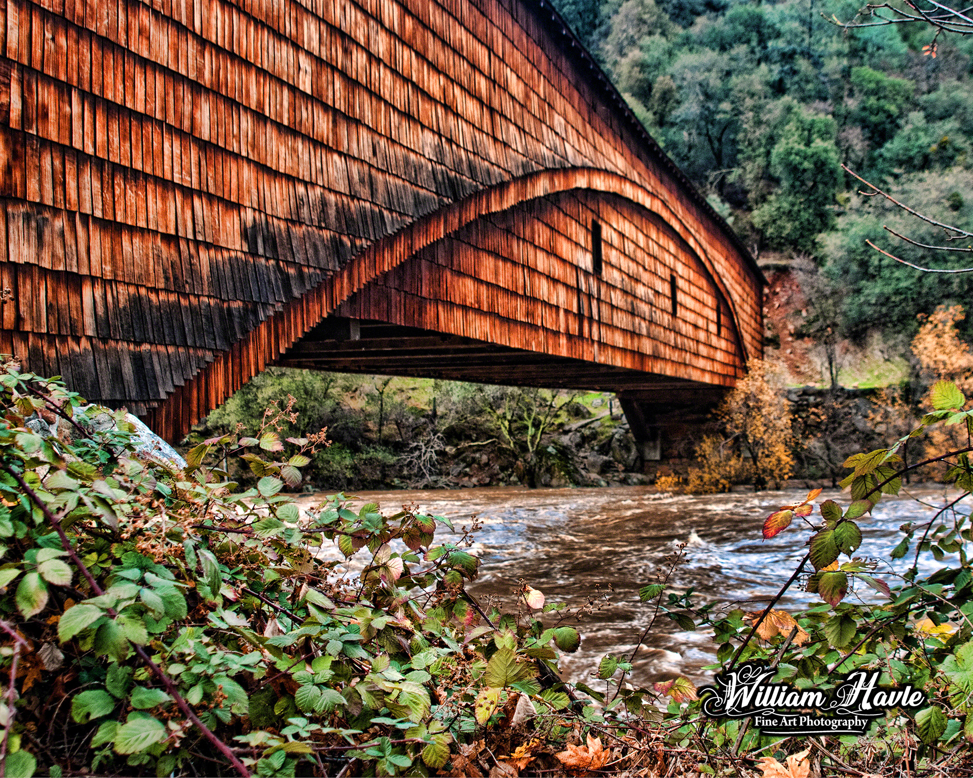 Bridgeport the Bridge