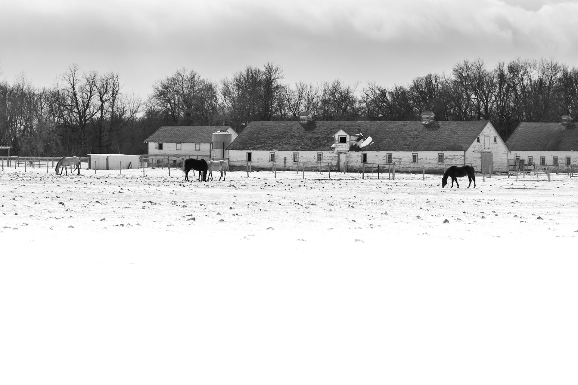 Farm