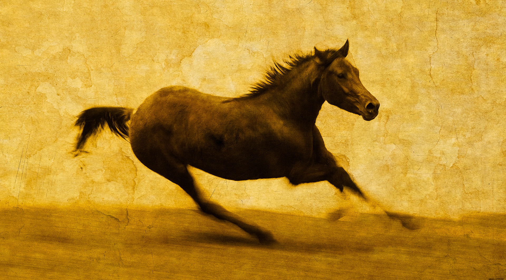 Caballo Salvaje