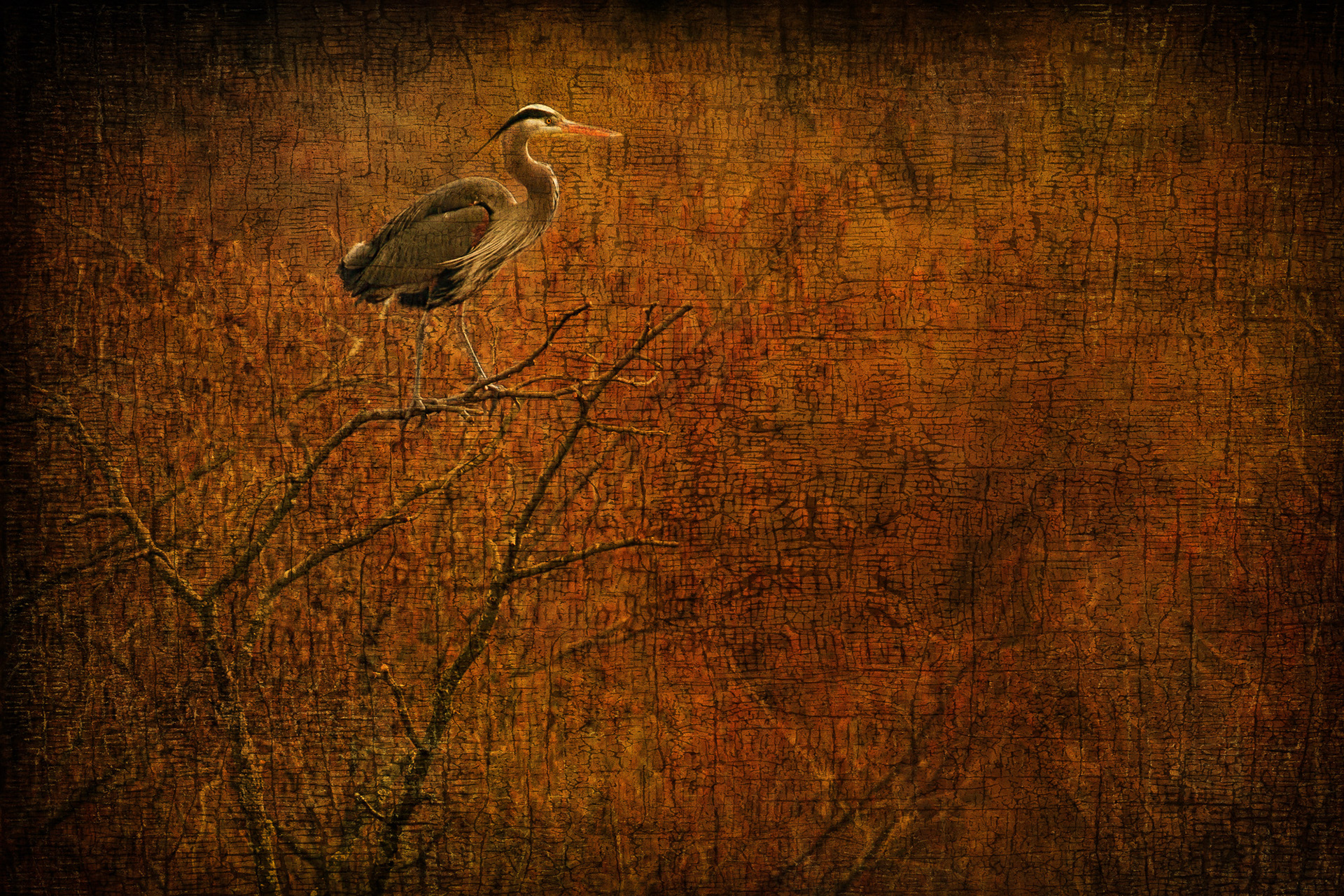 Heron Home
