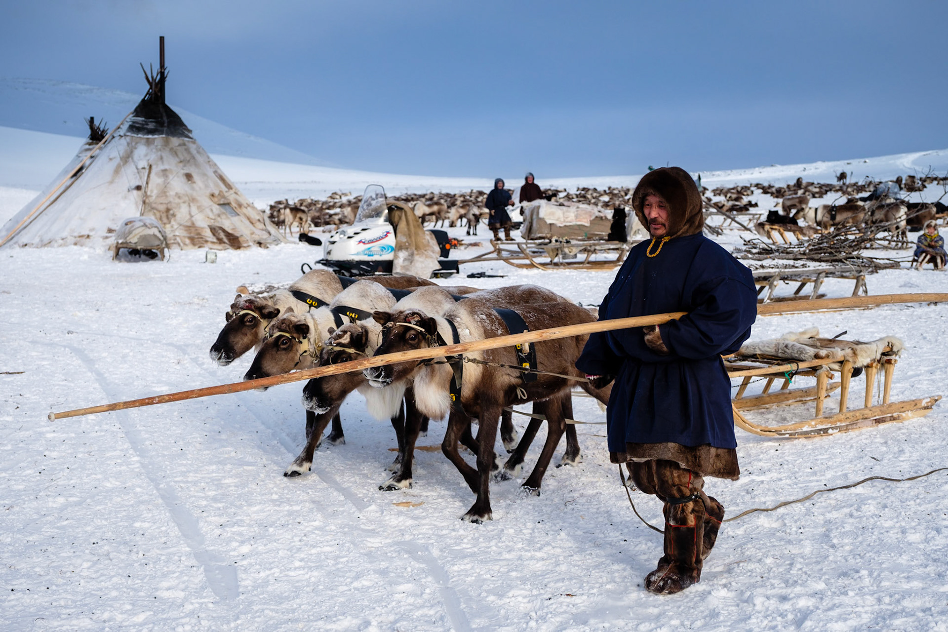 Tree felling is a very important task to always provide enough fire wood