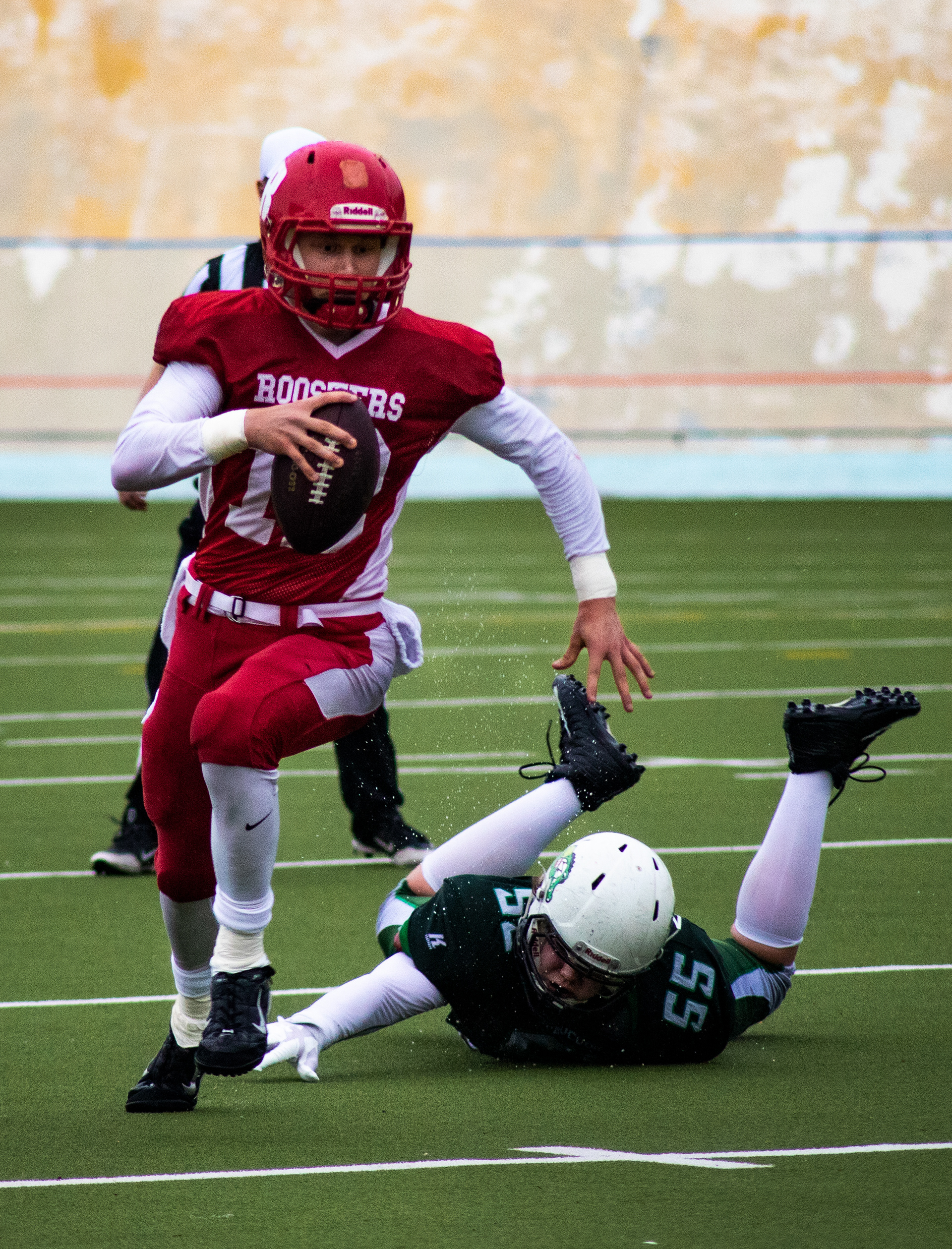 U20 Roosters - Crocodiles Summer 2019