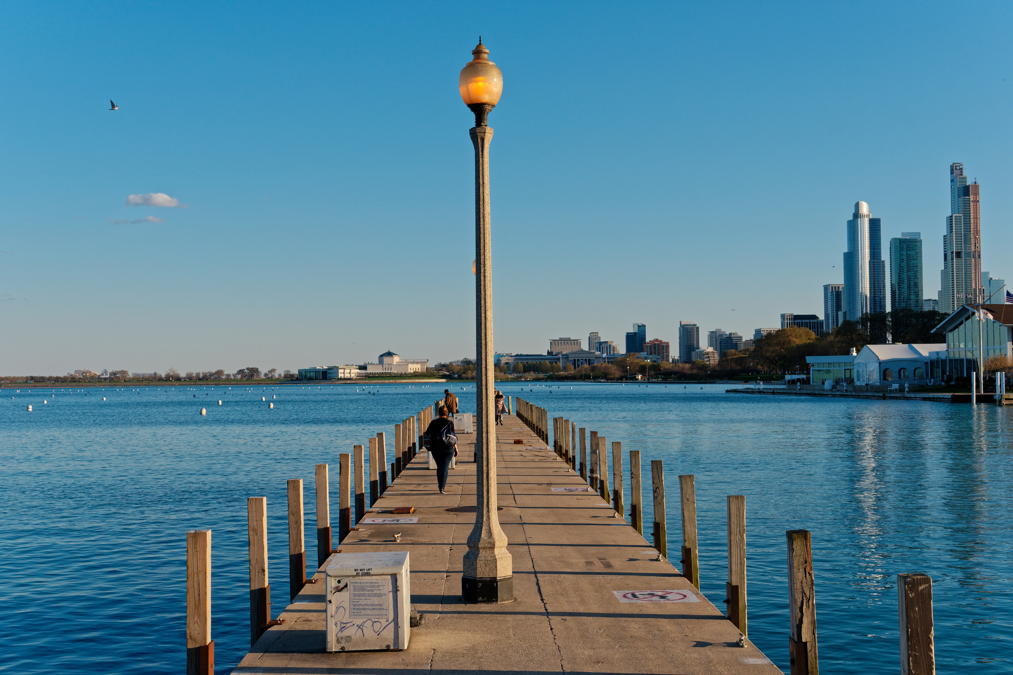 "Dock Lights" - 2019