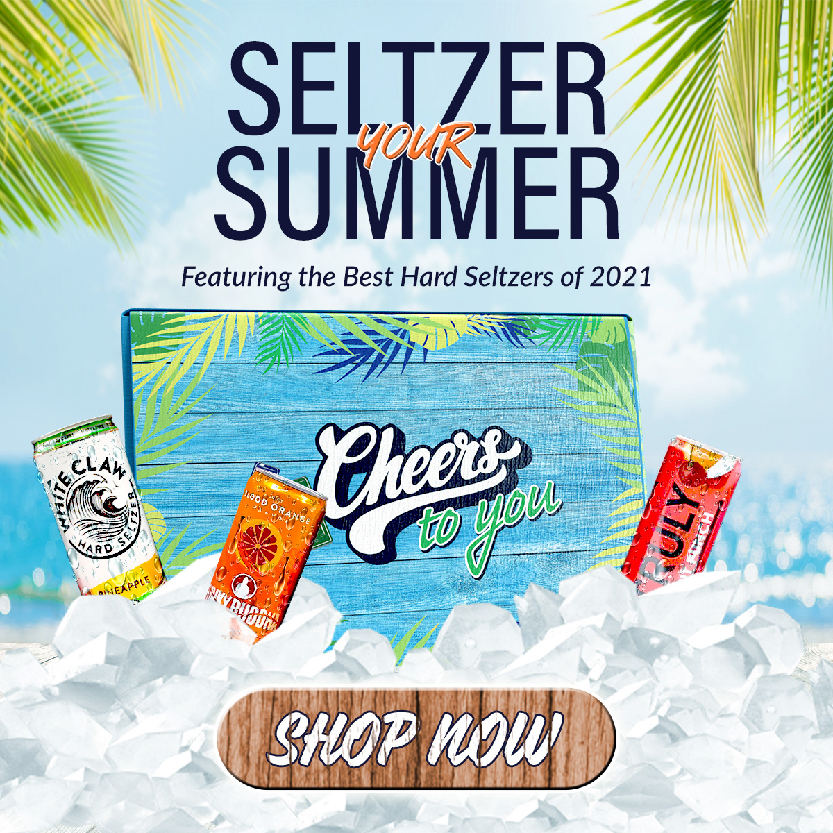 Seltzer Your Summer image