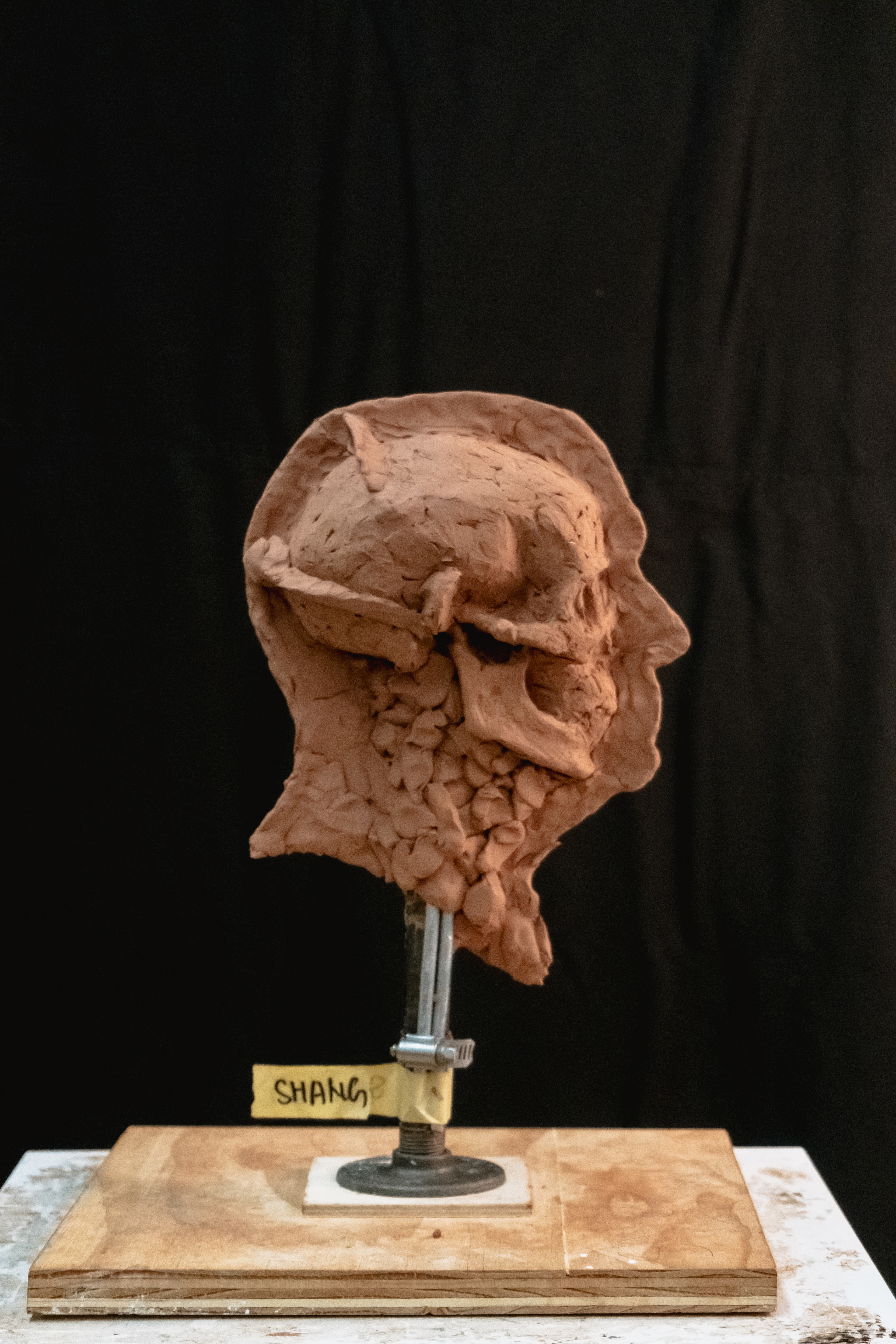 Side profile with embedded skull