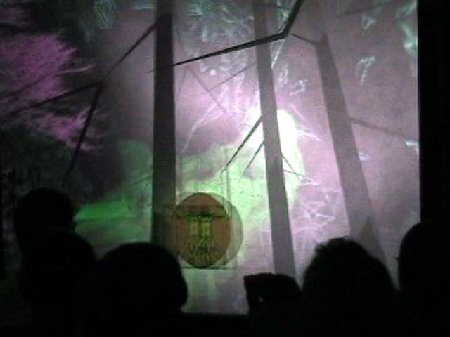 "Body w/Organs", dual-channel stereographic VR projection with audio, (DIY geowall), pop-up installation, ”, the Temple of Technology, Ingenuity Festival, Cleveland OH, 2008