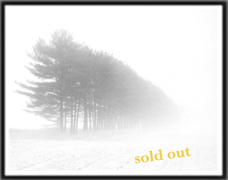 November Fog. Sold Out.