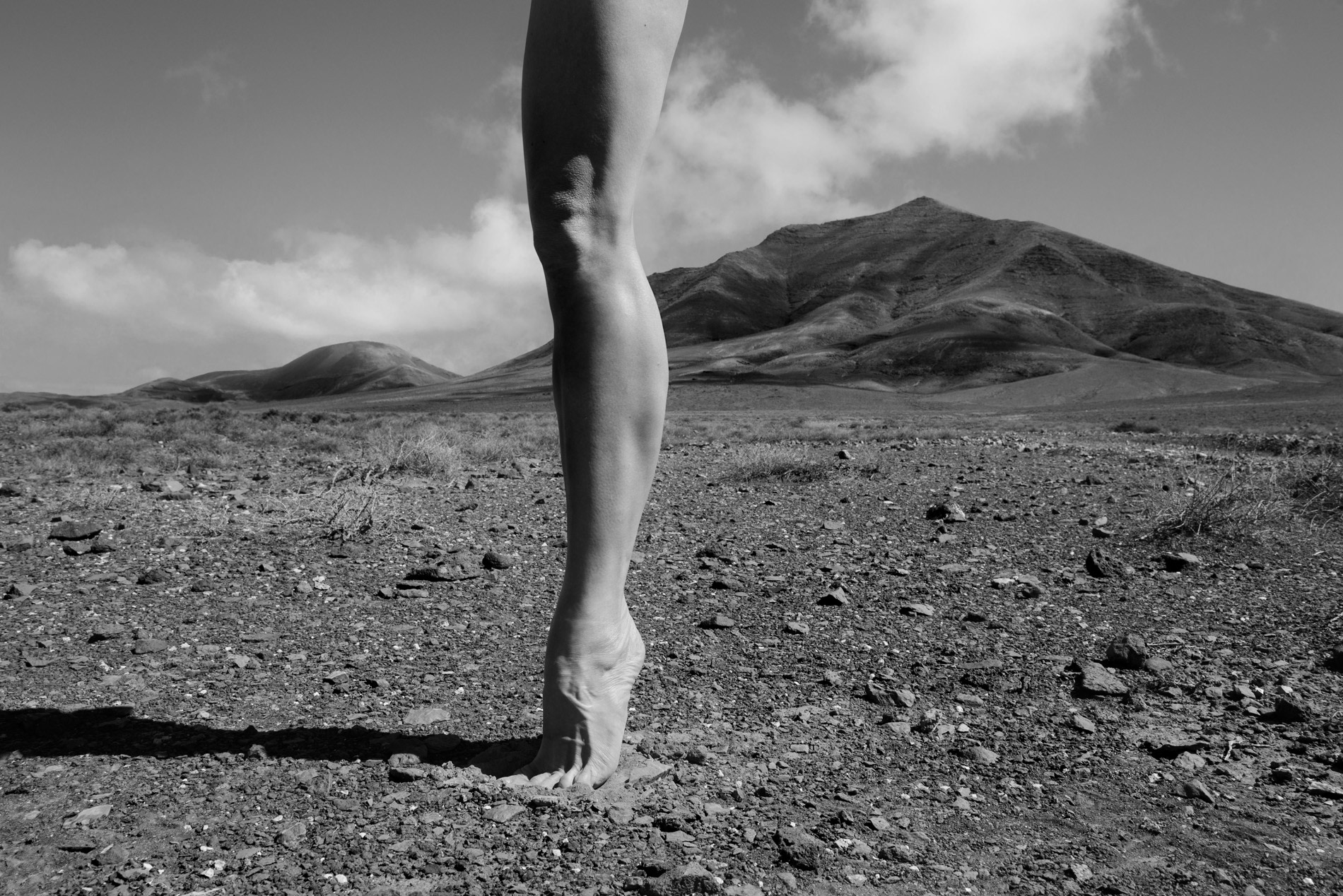 Leg