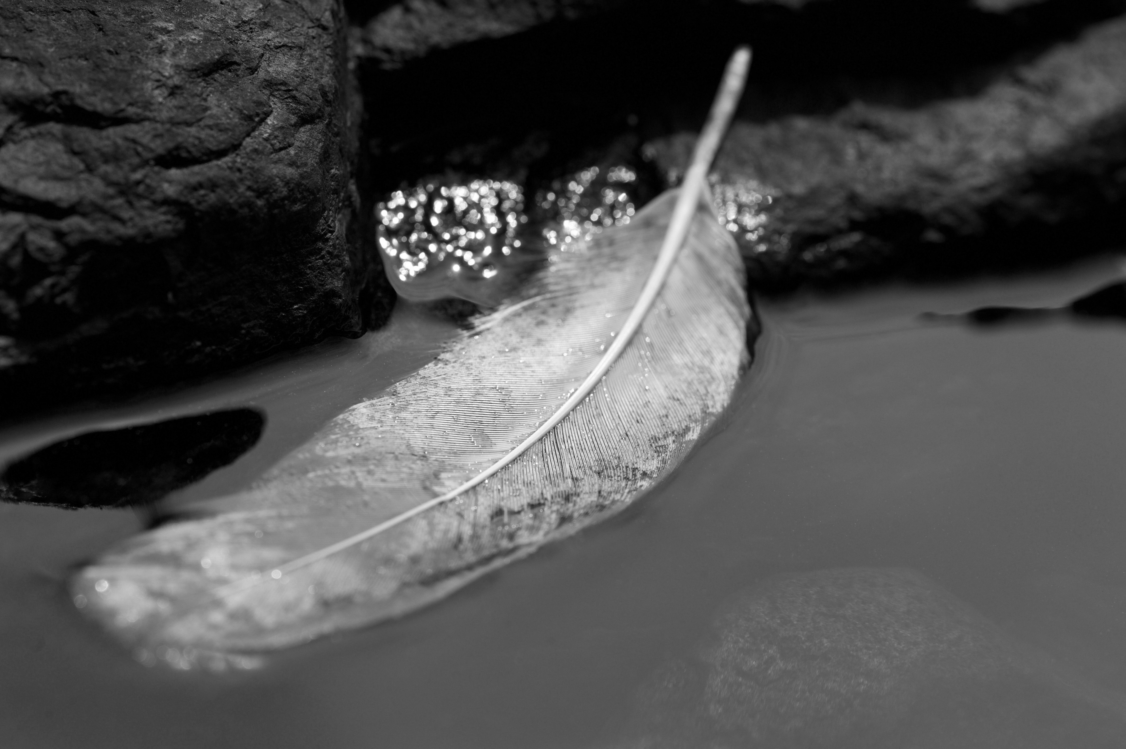 Four Corners (6). Archival pigment print on Arches 88