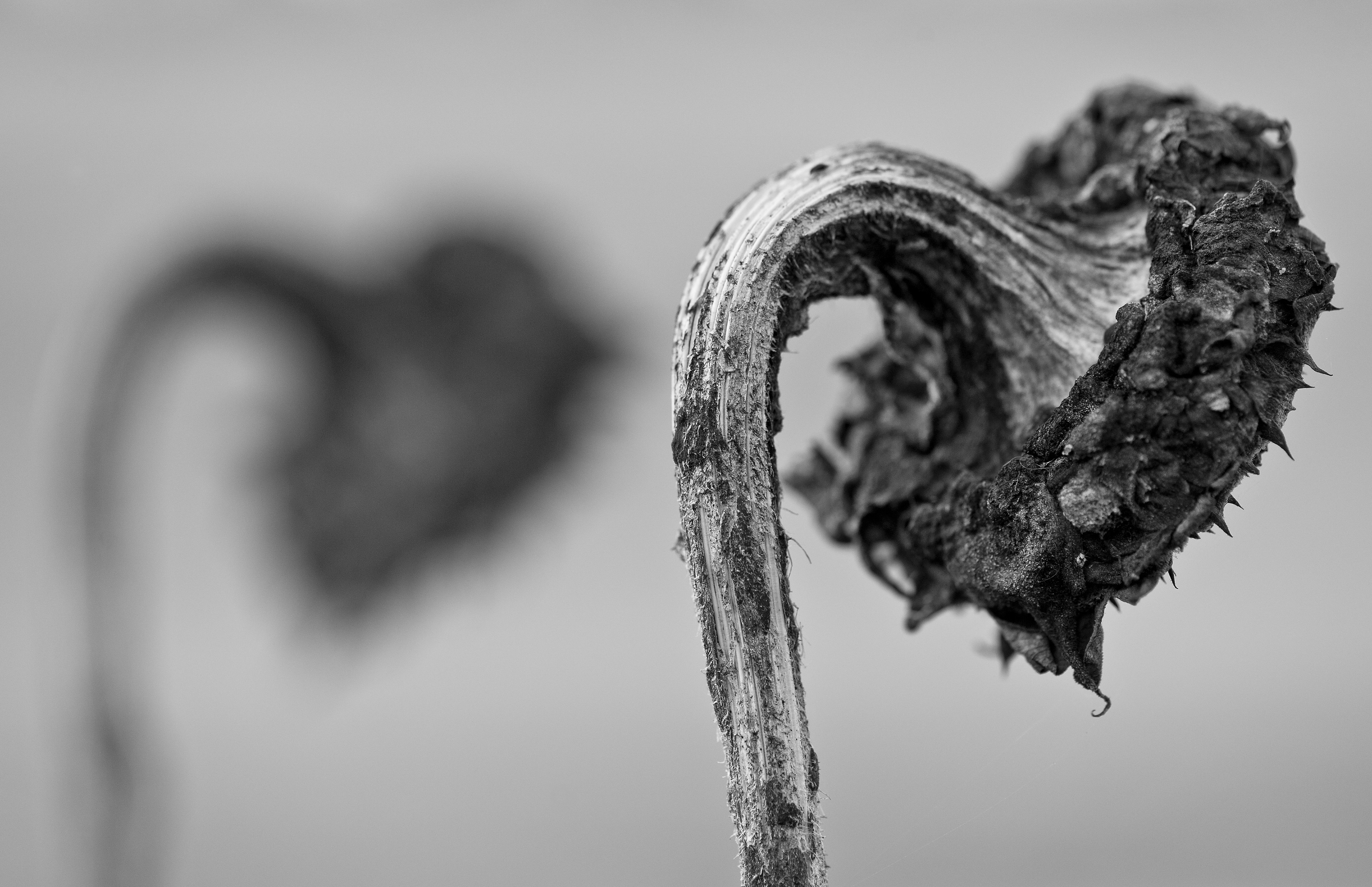Four Corners (73). Archival pigment print on Arches 88