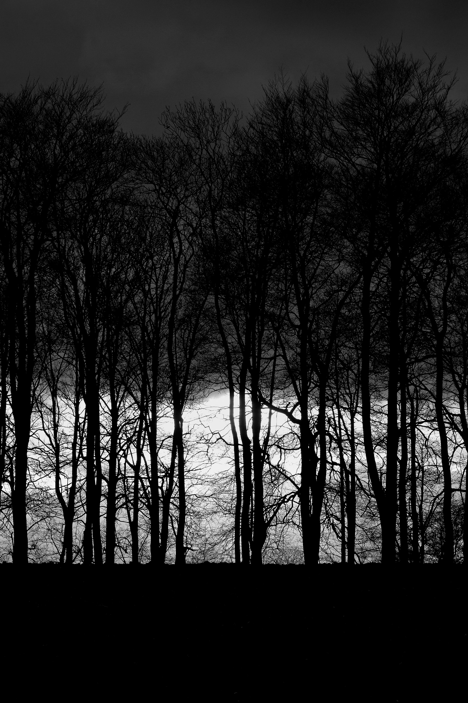 Four Corners (87). Archival pigment print on Arches 88
