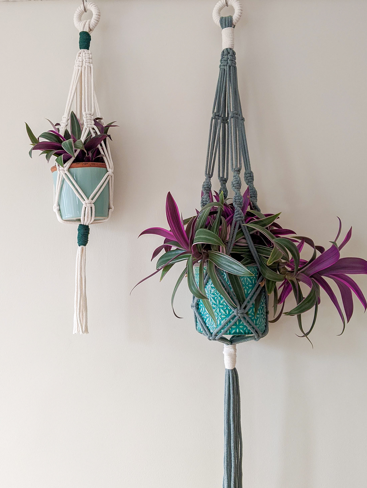 Rachael LarssonCarter Macramé Glass Ball Hangers