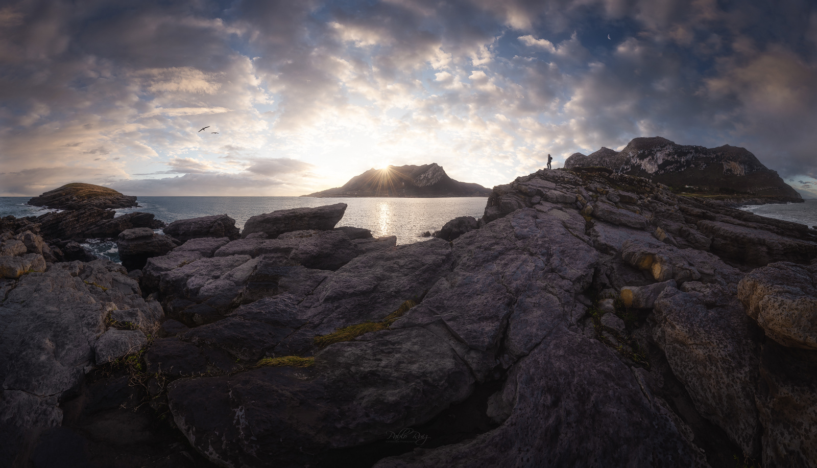 Sonabia