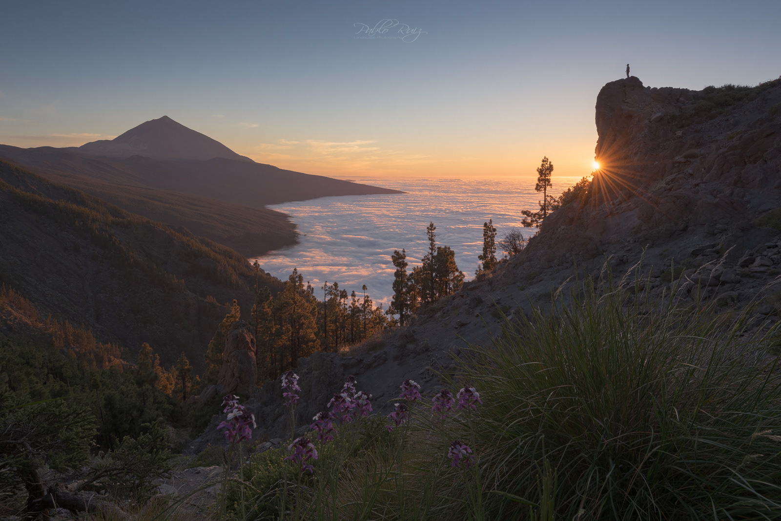 Tenerife