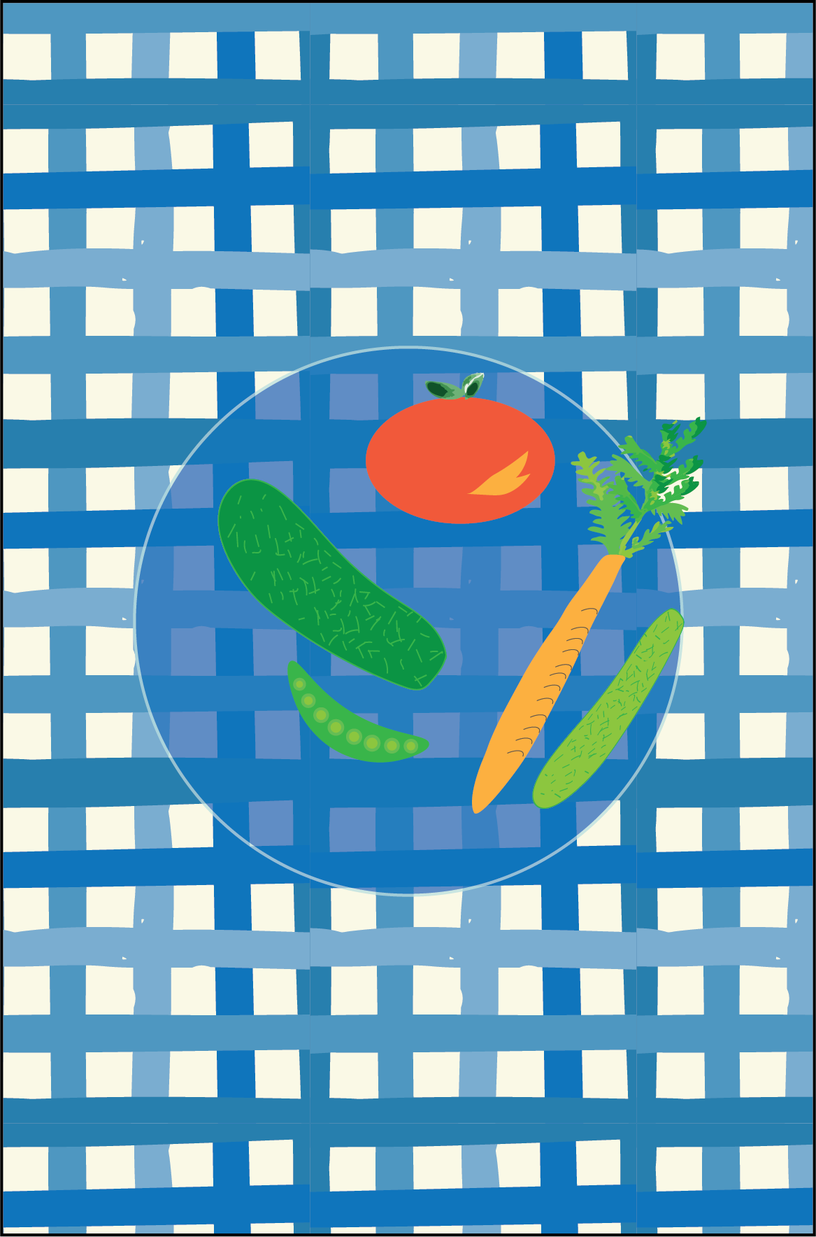 veggie plate  picnic