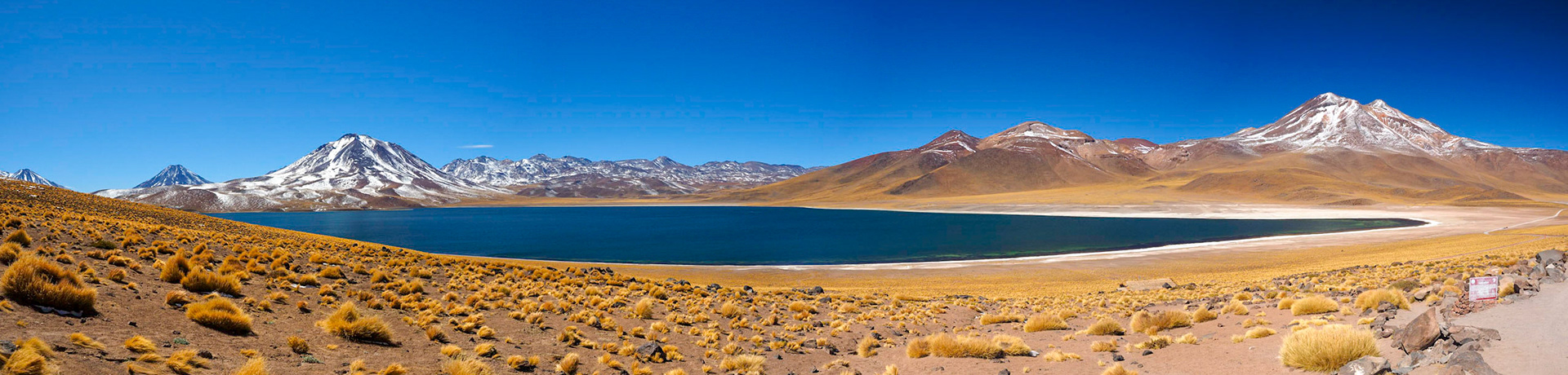 Laguna Miscanti