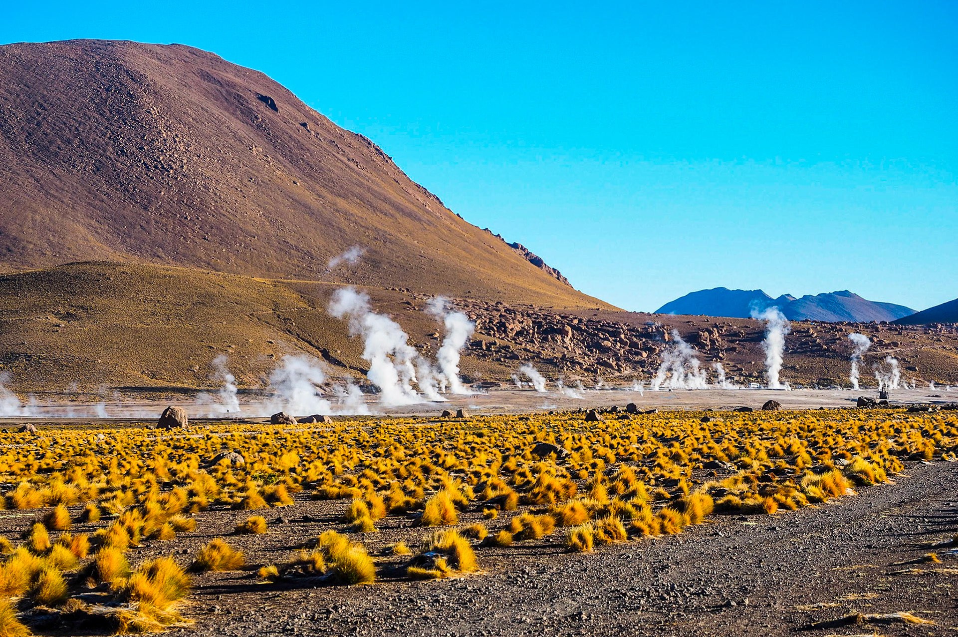 Tatio Geysers