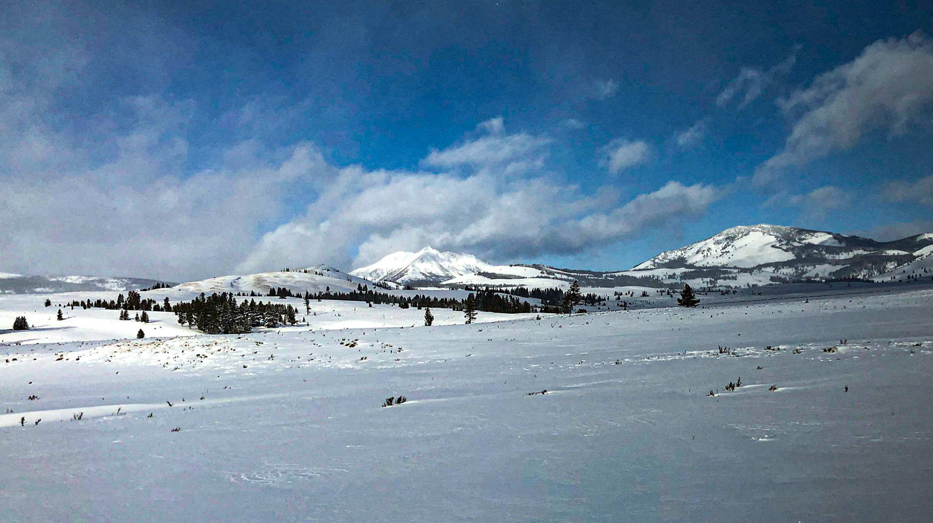 Electric Peak in center