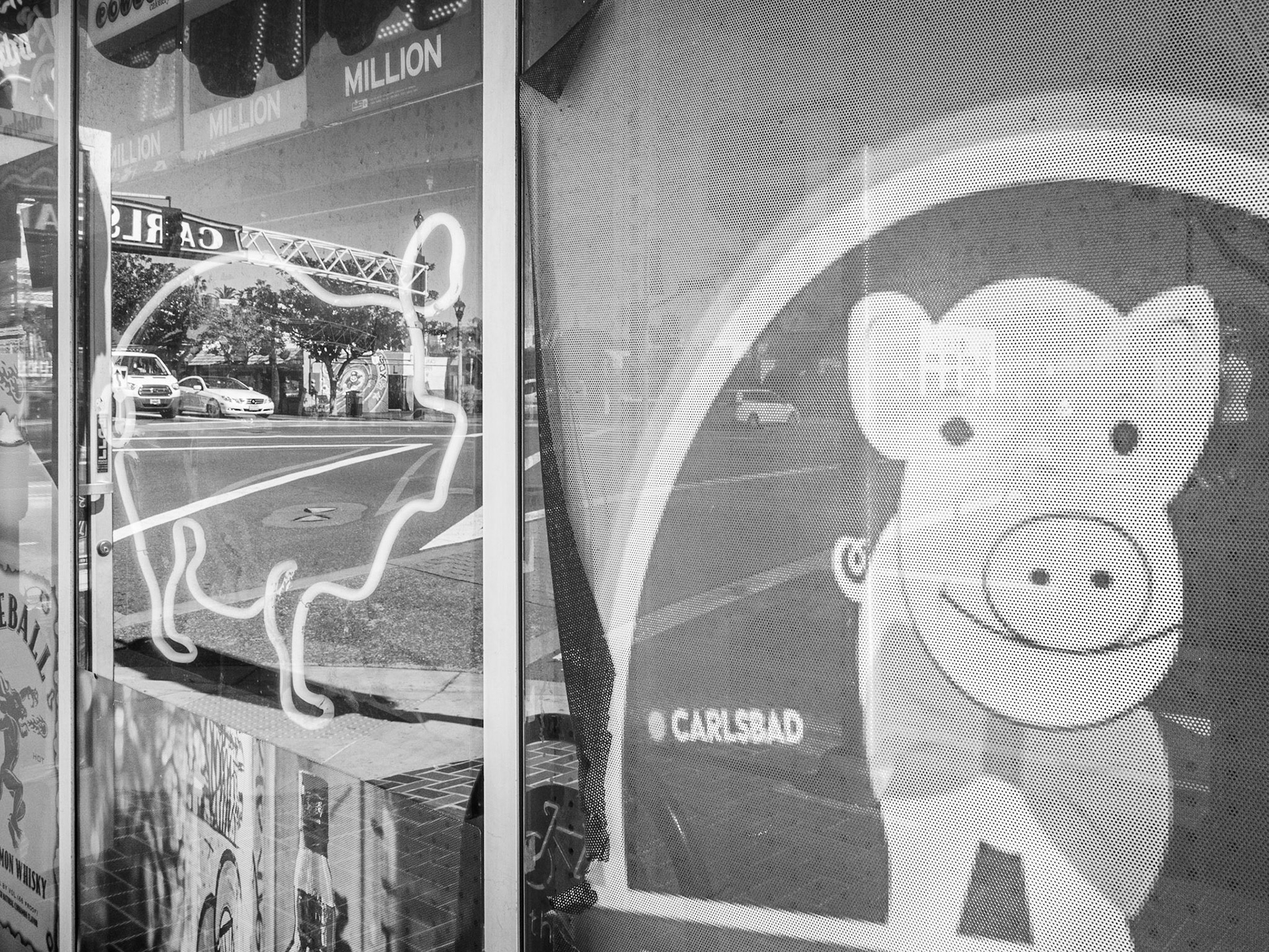 Pigs, Carlsbad, 2020