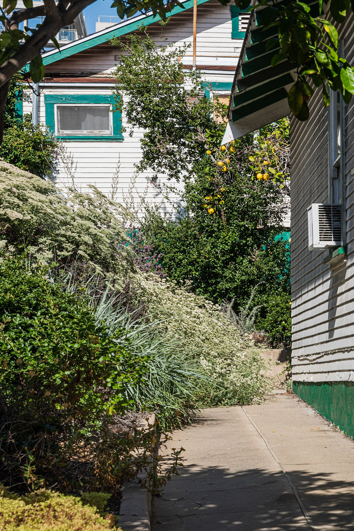 Along Kettner Blvd, Little Italy, San Diego, 2019
