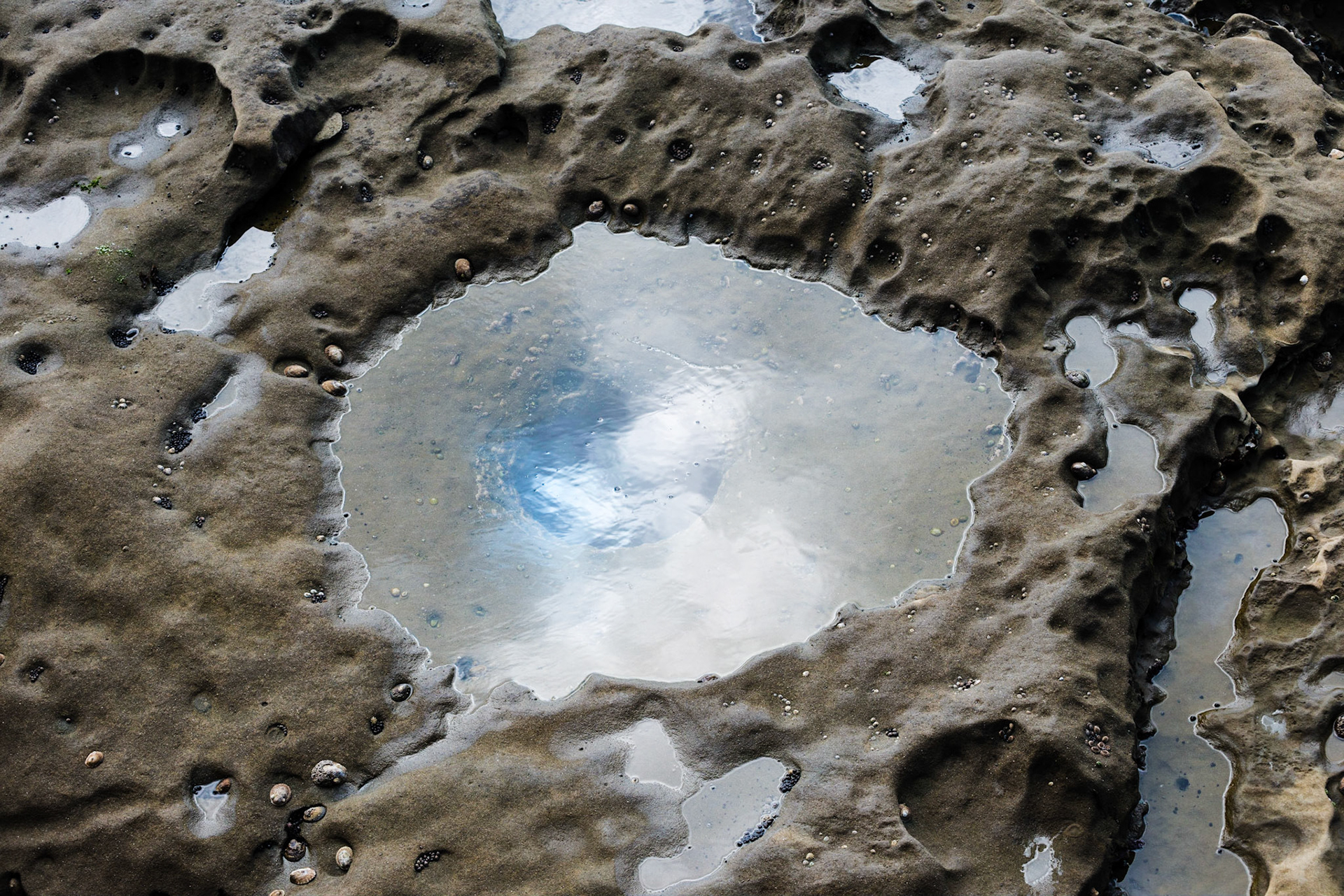 La Jolla Coastal Rock Study 3, 2014