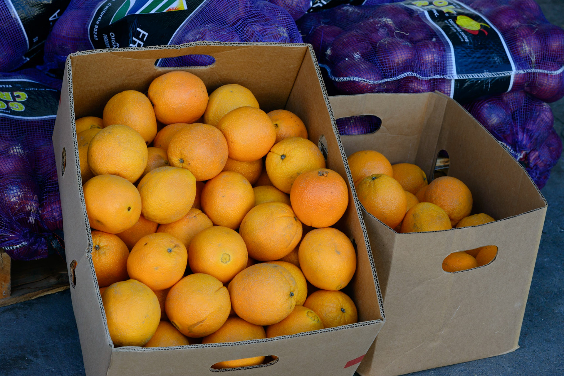 Oranges and Onions on Seventh Ave, Downtown, San Diego, 2014