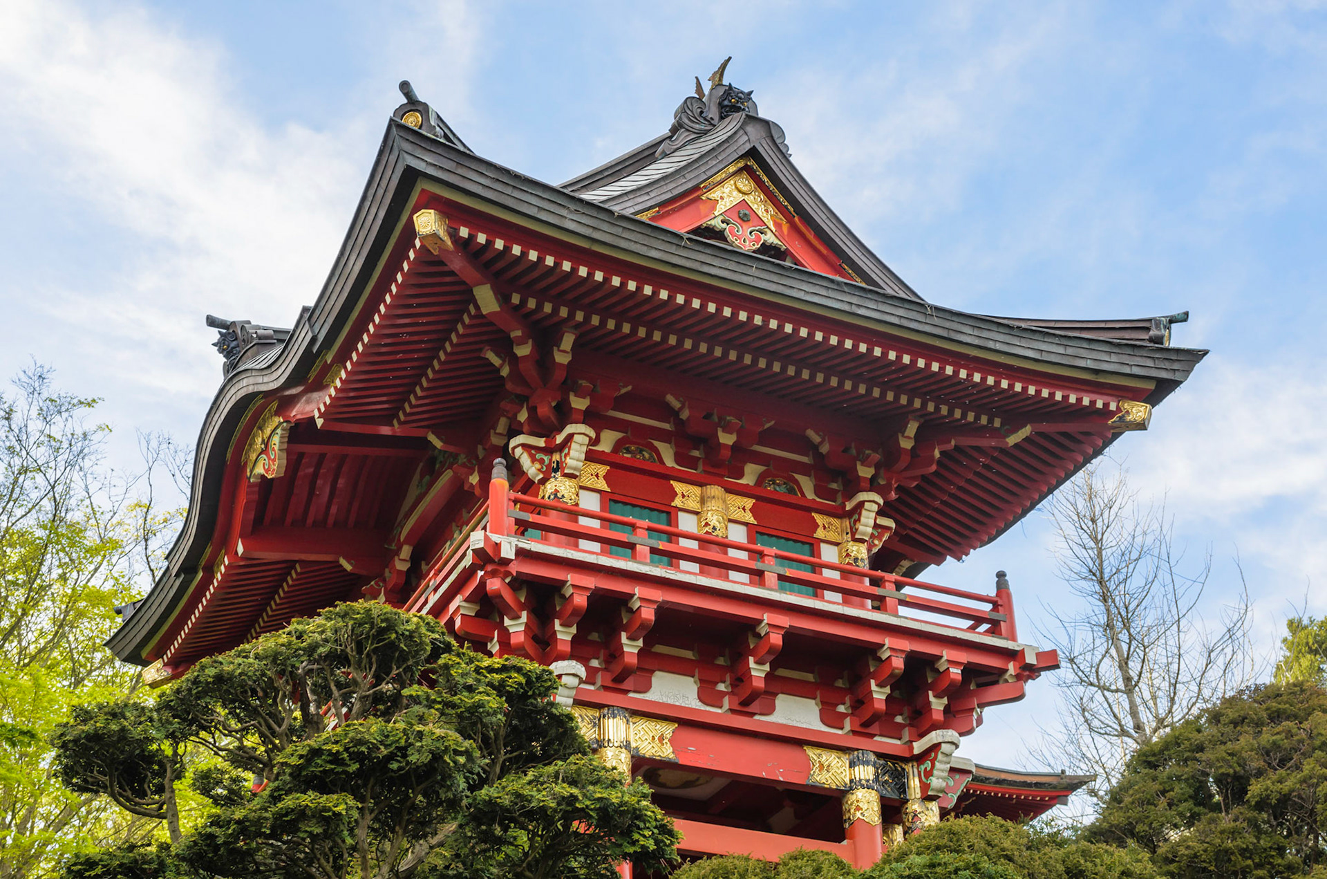 Japanese Tea Garden, Golden Gate Park, San Francisco, 2011