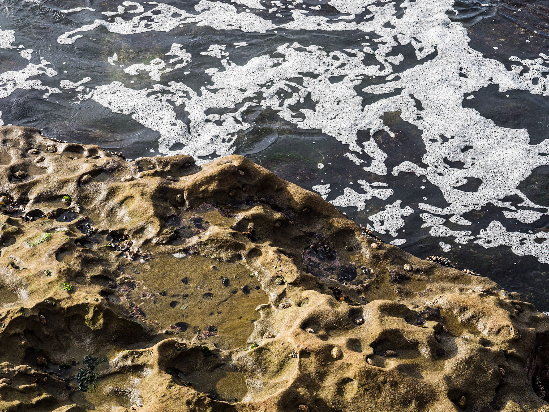 La Jolla Coastal Rock Study 2, 2014