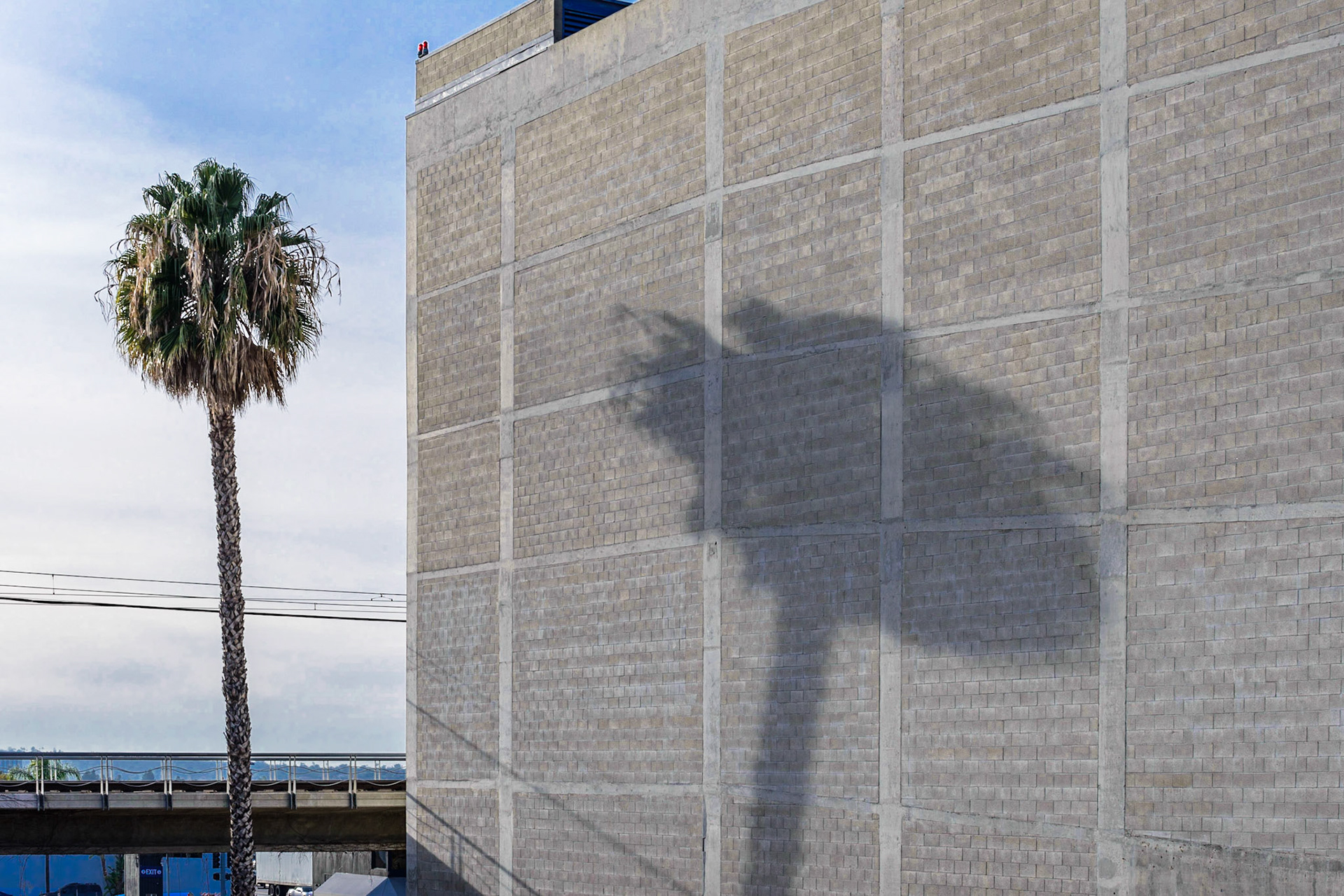 Palm Tree Shadow, Kettner Blvd, Little Italy, San Diego, 2016