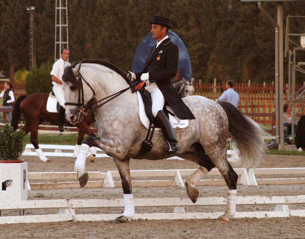 Passage – Fer Bulería and Carlos Torrell