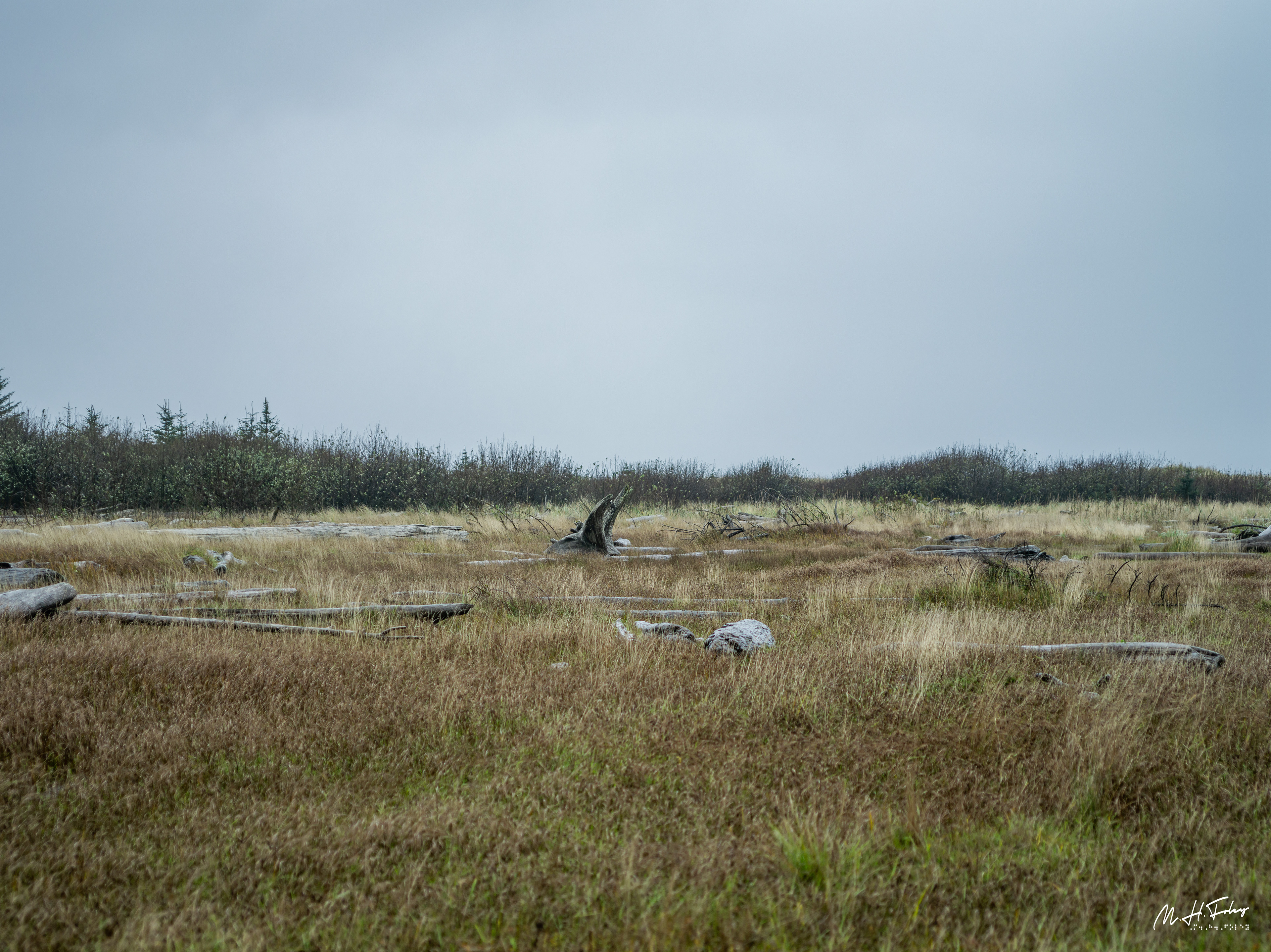 Haida Gwaii, BC / 2018