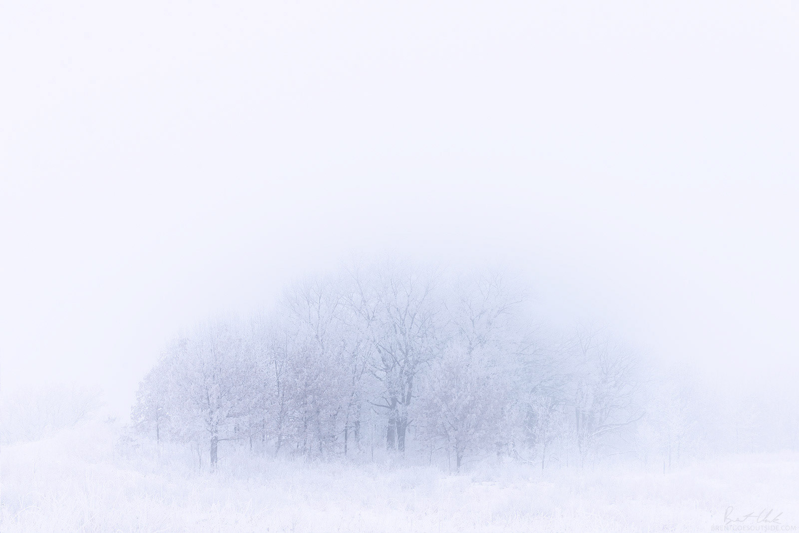 Fogsty Winter Scene