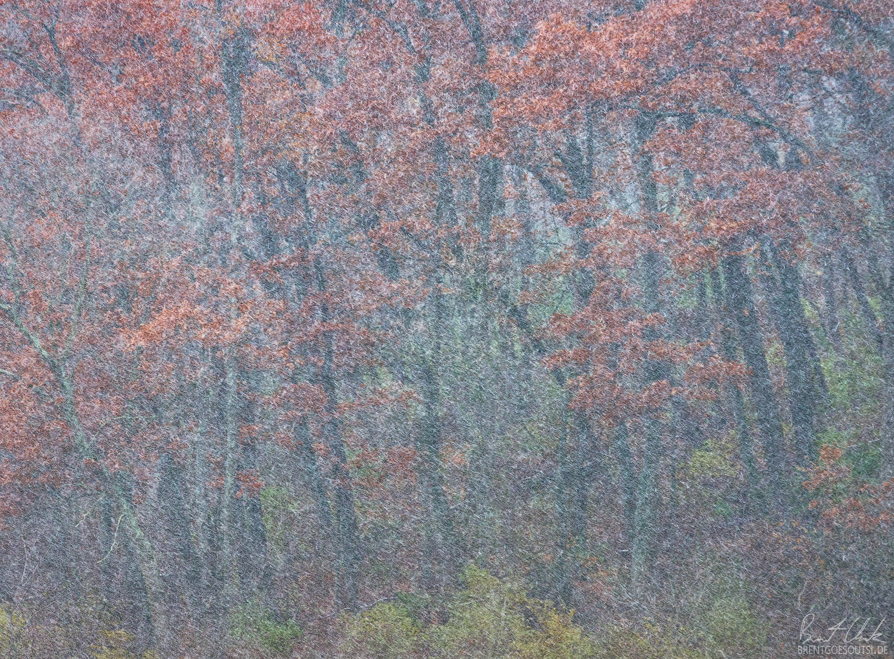 Bad Weather / High Spirits