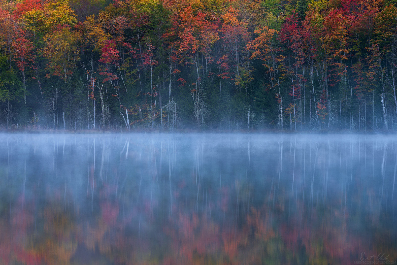 Placid